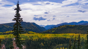 Colorful Denali