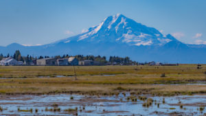 Kenai Peninsula